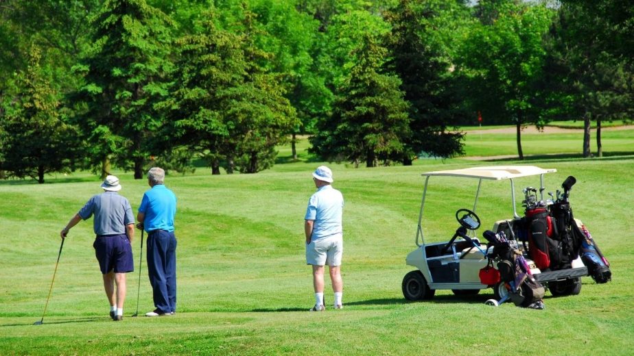 buggies for disabled adults