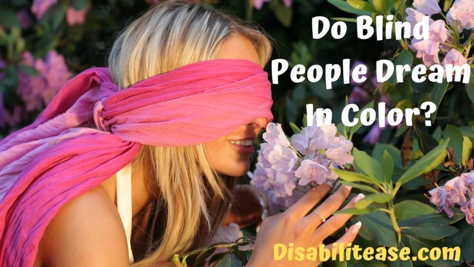 Do Blind People Dream In Color? Disabilitease