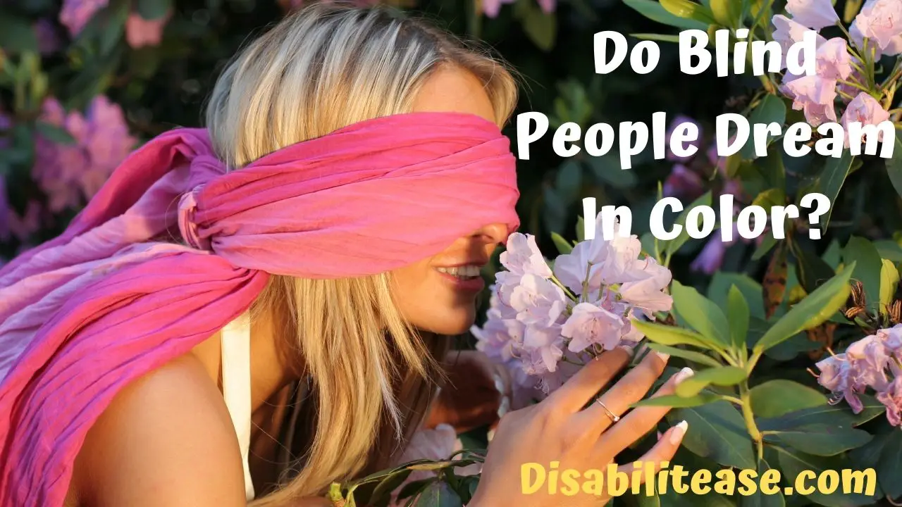 Do Blind People Dream In Color