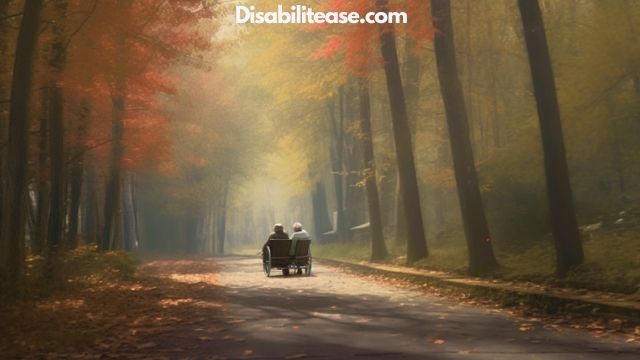 Can Disabled And Elderly People Travel During Any Season