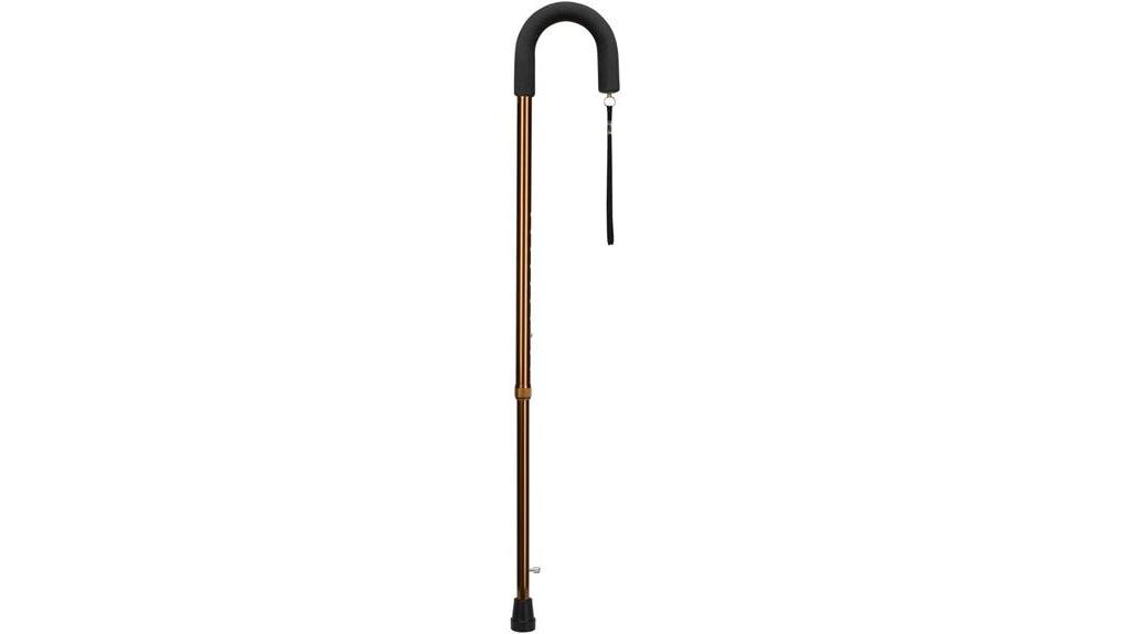 ice walking cane with retractable tip