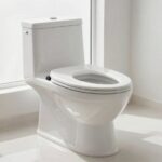 10 Best Raised Toilet Seats for Seniors with Mobility Issues in 2026